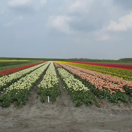 Near Dunes Casa de Férias