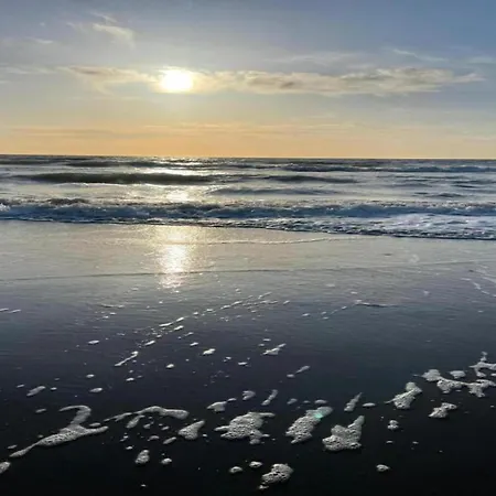 Near Dunes * 't Zand